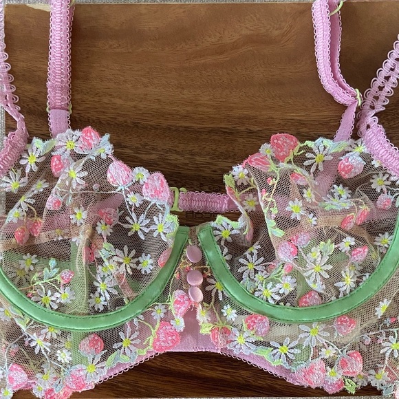 For Love & Lemons Tutti Frutti Bra – Sheer Embroidered Mesh, Pink Green Floral - Picture 2 of 8
